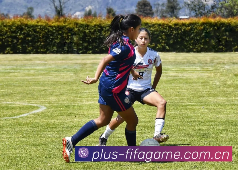 用户
